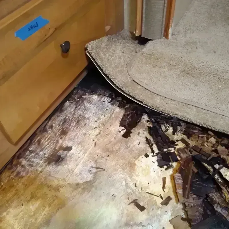 Best Wood Floor Water Damage Service in Custer County, CO